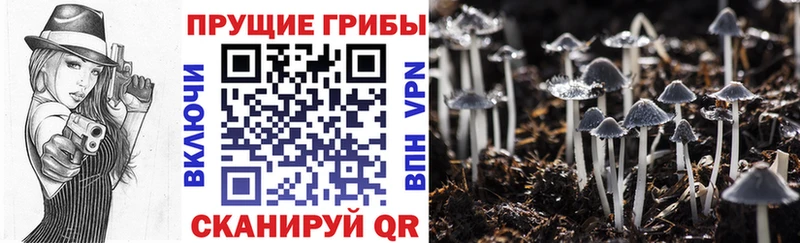 Галлюциногенные грибы мухоморы  Мончегорск 